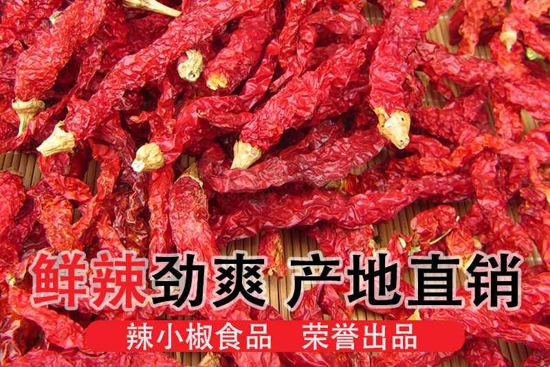 新疆二荆条